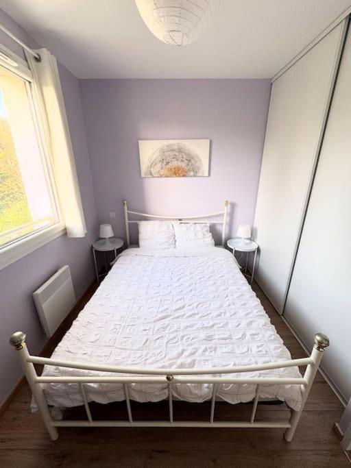 Maison Calme Avec Jardin Proche De 툴루즈 외부 사진